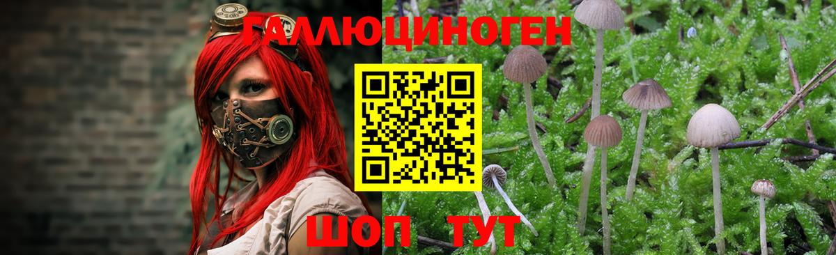 Псилоцибиновые грибы мицелий Урай